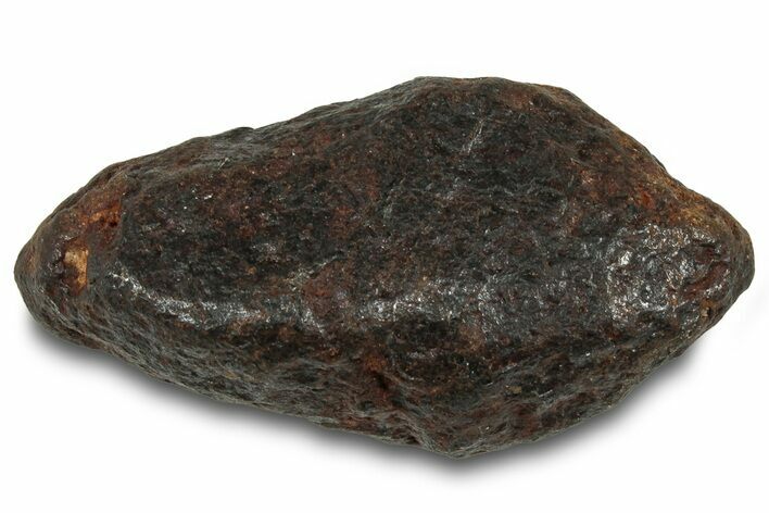 Canyon Diablo Iron Meteorite ( g) - Arizona #319585